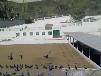 Hawashim Cemetary where Sayeda Khadijah and Abu Talib are buried