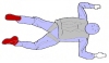 Body Position - Top View