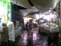 The intoxicating spice market