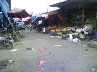A quiet period in the qat market