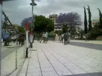 Video clip of football in Tahrir Square